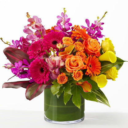 The Mosaic –  Minish And Potts Llc, Crestwood KY